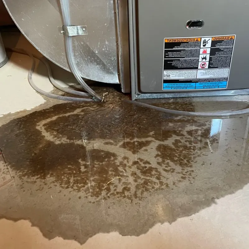 Pipe Burst and Leak Restoration in Simonton Lake, IN