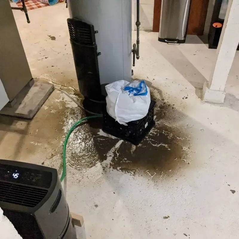 Sewage Backup Cleanup Service in Simonton Lake, IN